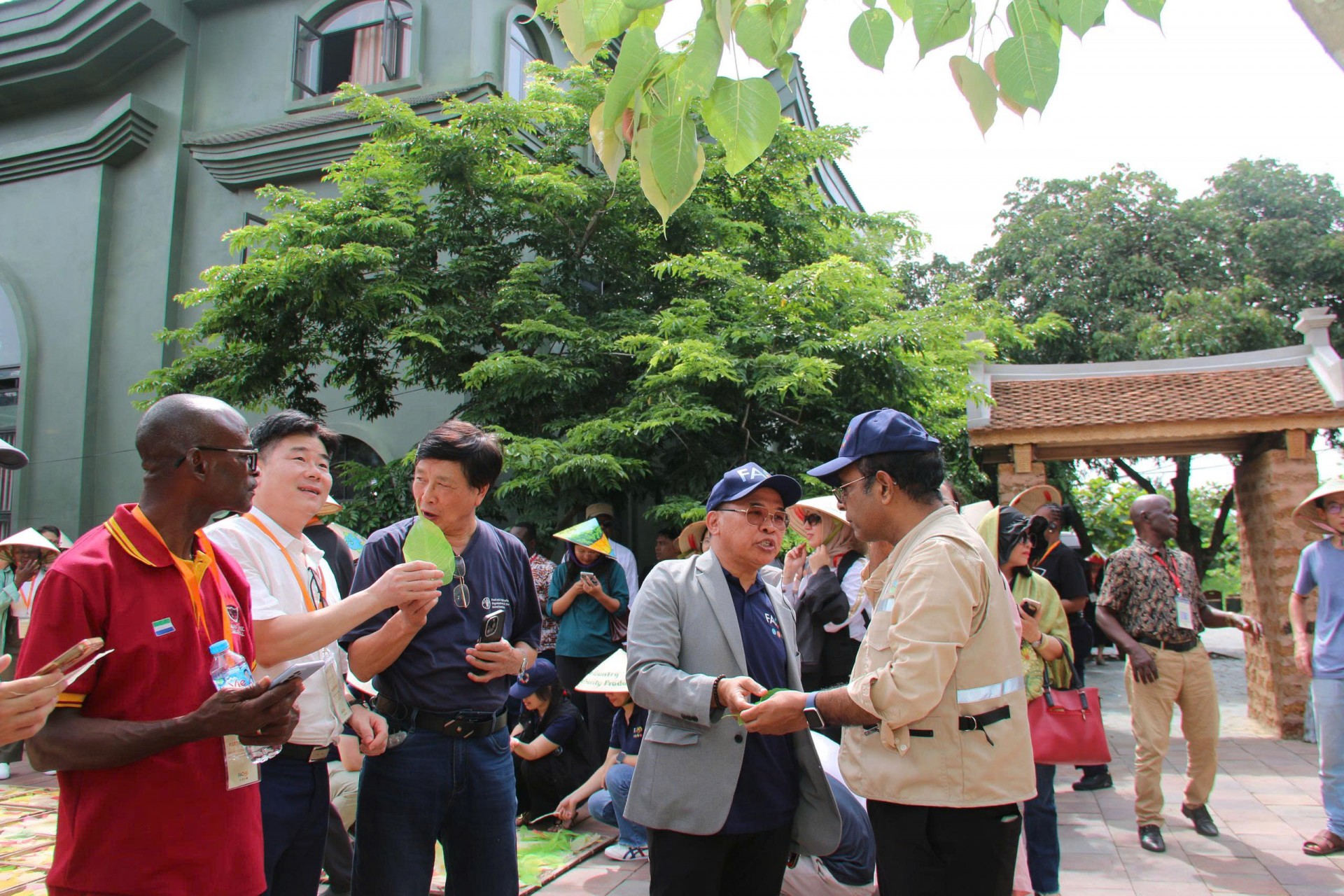 Thiết kế tinh xảo trên lá bồ đề nhận được nhiều lời khen. Thiết kế tinh xảo trên lá bồ đề nhận được nhiều lời khen.