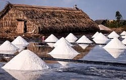 Cà Mau lần đầu có 2 sản phẩm muối đạt OCOP 5 sao cấp quốc gia