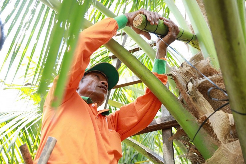 Quy trình thu hoạch mật hoa cũng đòi hỏi tay nghề thủ công, sự tinh tế, tâm huyết bởi người nông dân