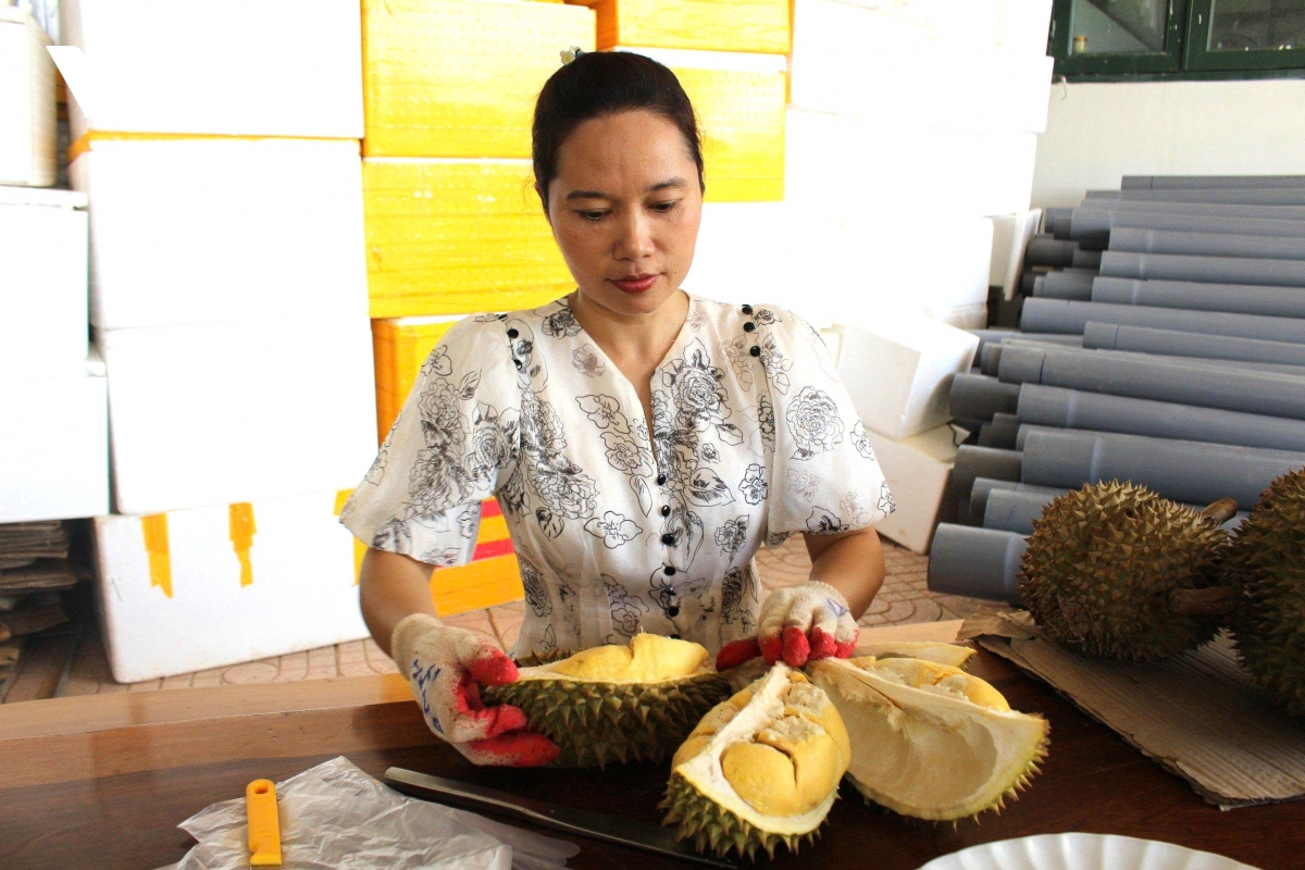 san pham ocop vung nui khanh hoa dang thanh cong tu nhung mo hinh lien ket hinh anh 3