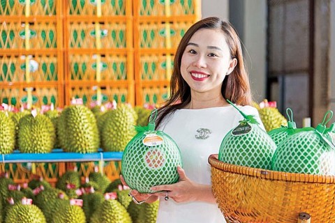 chu the ocop 5 sao chia se chuyen dua sau rieng viet ra the gioi