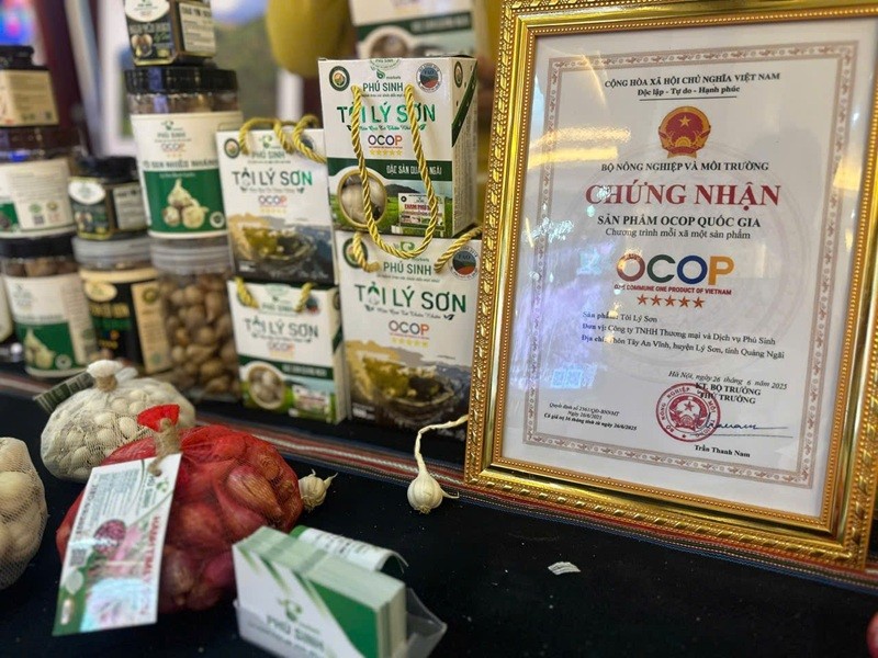 Quảng Ngãi: Tỏi Lý Sơn – “Vàng trắng” từ biển đảo Nam Trung Bộ