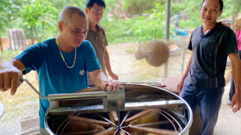 Quá trình quay mật phải tiến hành nhanh chóng, tránh làm bầy ong hoảng loạn, rời đàn.