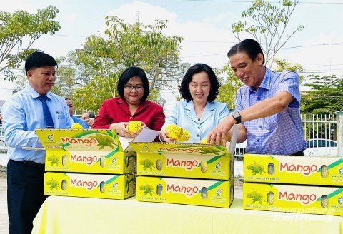 OCOP "khơi mở" tiềm năng nông sản An Giang