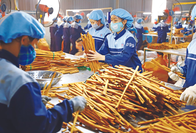 OCOP – Động lực phát triển kinh tế nông thôn Yên Bái