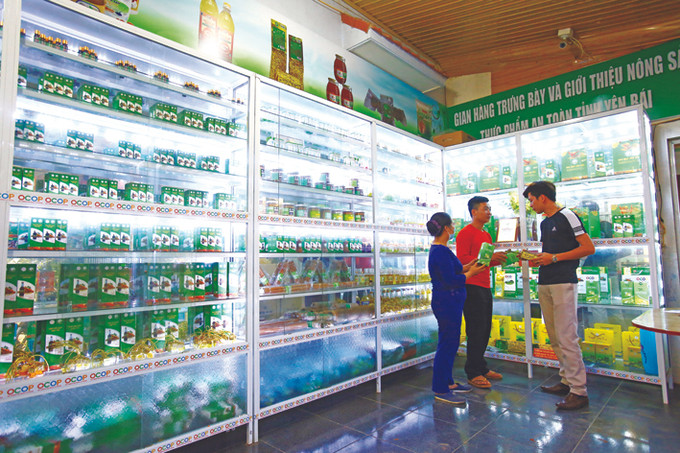 OCOP – Động lực phát triển kinh tế nông thôn Yên Bái ảnh 10