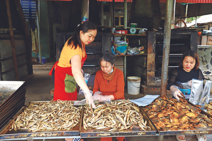 OCOP – Động lực phát triển kinh tế nông thôn Yên Bái ảnh 3
