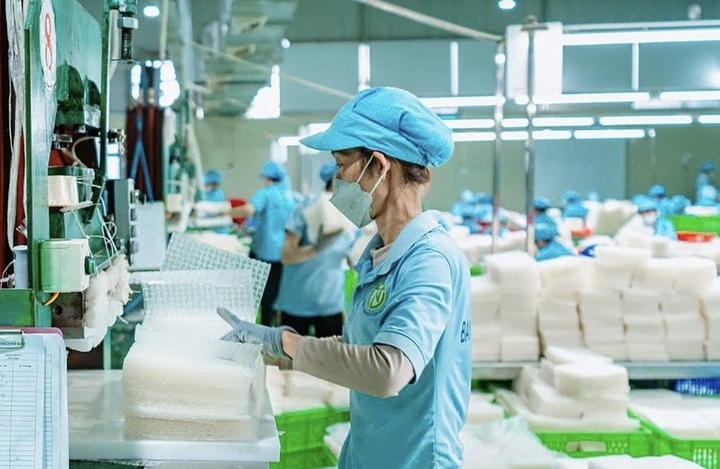 Bánh tráng siêu mỏng của Công ty TNHH Tân Nhiên đã đạt chuẩn OCOP 5 sao cấp quốc gia. (Ảnh: Nguyễn Thuỷ)
