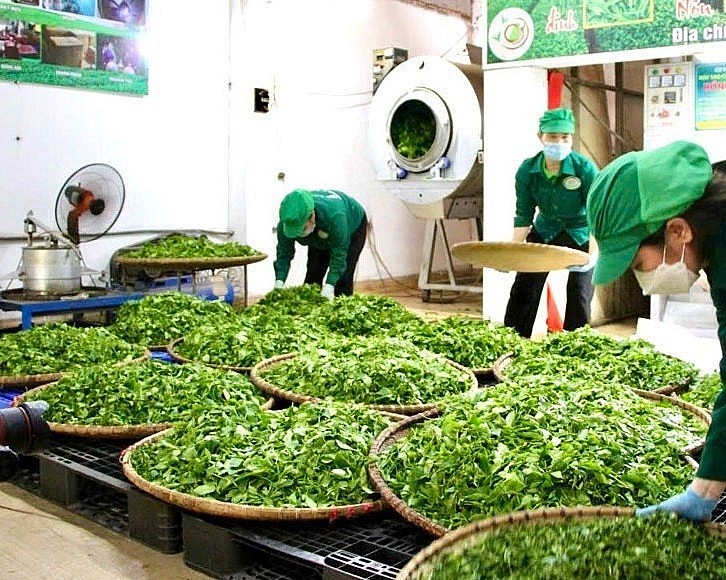 Thái Nguyên là một trong những địa phương đã chủ động đưa nội dung OCOP vào các chương trình hỗ trợ doanh nghiệp nhỏ và vừa. 