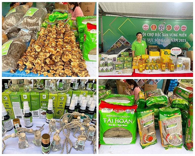 Một số sản phẩm OCOP tiêu biểu của tỉnh Bắc Kạn. Ảnh: Báo Bắc Kạn.