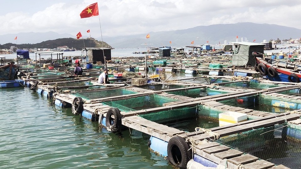 Khẳng định chất lượng từ những sản phẩm OCOP thủy hải sản
