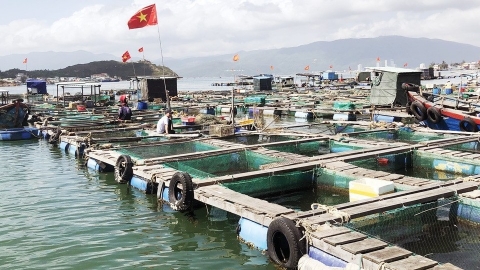 Khẳng định chất lượng từ những sản phẩm OCOP thủy hải sản