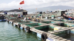 Khẳng định chất lượng từ những sản phẩm OCOP thủy hải sản