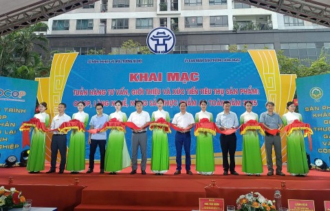 khai mac tuan hang tu van gioi thieu va xuc tien tieu thu san pham nam 2025