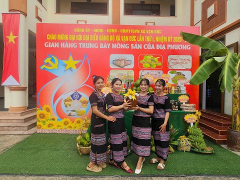 gia lai van duc khoi day noi luc phan dau ve dich nong thon moi nam 2028