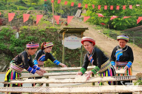 Phát triển sản phẩm OCOP từ lợi thế