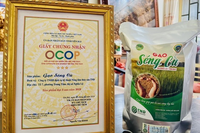 Khai mở tiềm năng OCOP: Chuyển đổi số làm nên thương hiệu Việt Khai mở tiềm năng OCOP: Chuyển đổi số làm nên thương hiệu Việt