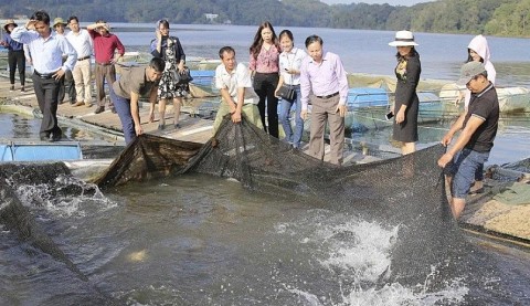 xa dai lai xay dung nong thon moi tu mo hinh nuoi thuy san