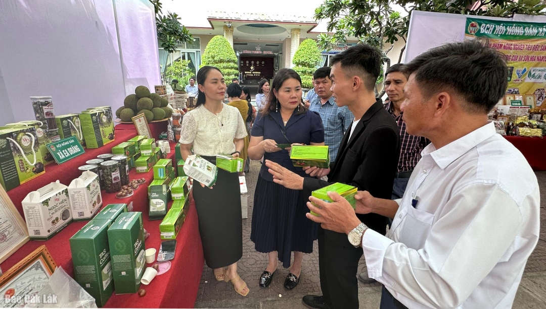 Thúc đẩy quảng bá, tiêu thụ sản phẩm OCOP Doanh nghiệp giới thiệu sản phẩm OCOP được trưng bày, giới thiệu tại hội nghị.