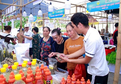 hon 500 san pham ocop co mat tai tuan hang xuc tien thuong mai nong san thu do