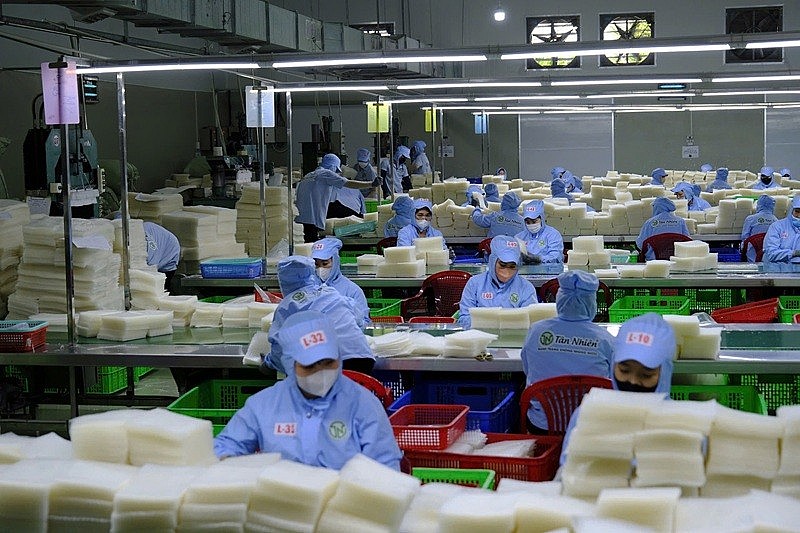 Ông Duy mong muốn sự vào cuộc mạnh mẽ hơn nữa từ cơ quan chức năng, tin rằng doanh nghiệp chân chính và người tiêu dùng không đơn độc trong cuộc chiến chống hàng giả Ông Duy mong muốn sự vào cuộc mạnh mẽ hơn nữa từ cơ quan chức năng, tin rằng doanh nghiệp chân chính và người tiêu dùng không đơn độc trong cuộc chiến chống hàng giả