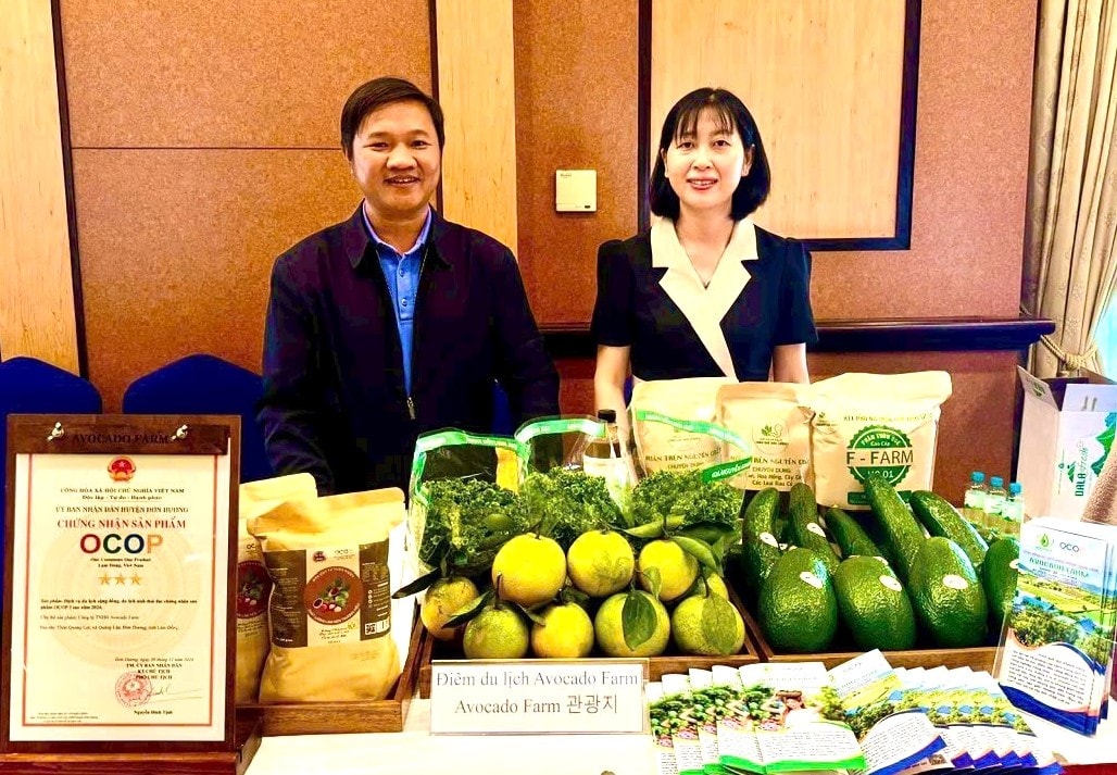 Sau khi xếp hạng OCOP 3 sao, thương hiệu “Bơ ông Tĩnh” truyền thống trở thành sản phẩm du lịch canh nông tai xã Quảng Lập, tỉnh Lâm Đồng (3)