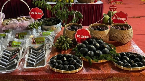 Chả ốc nhồi Mơ Đức - thức quà mới của núi rừng xứ Mường