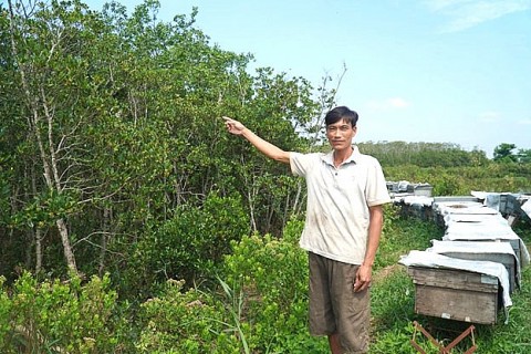 nuoi ong duoi tan rung ngap man