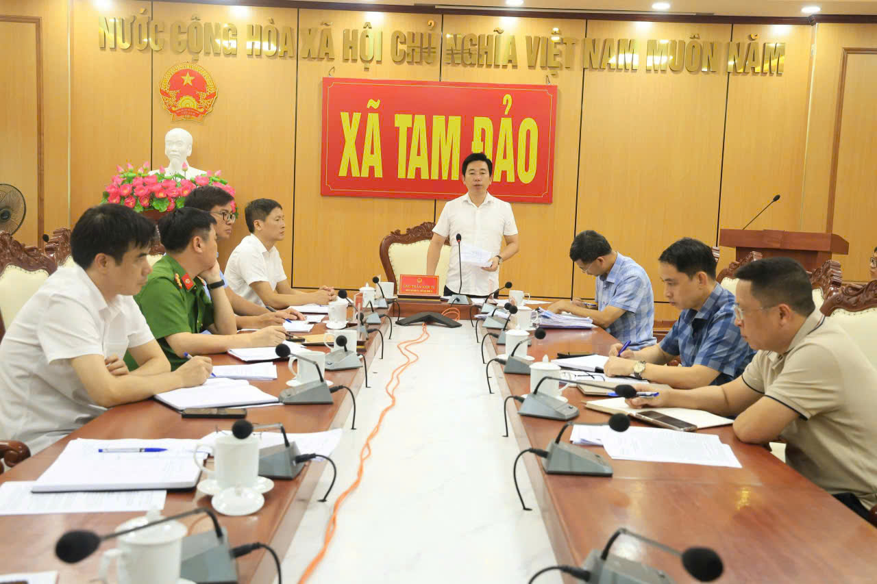 OCOP - Hướng đi bền vững trong hành trình xây dựng nông thôn mới kiểu mẫu ở Tam Đảo- Ảnh 1.