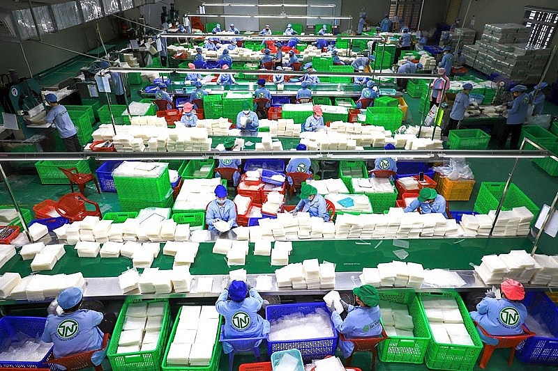 Mặc dù đạt OCOP 5 sao cấp quốc gia, ông Đặng Khánh Duy, Giám đốc doanh nghiệp liên tục đối mặt vấn nạn hàng giả, bao bì nhái tràn lan thị trường, từ chợ truyền thống đến sàn thương mại điện tử