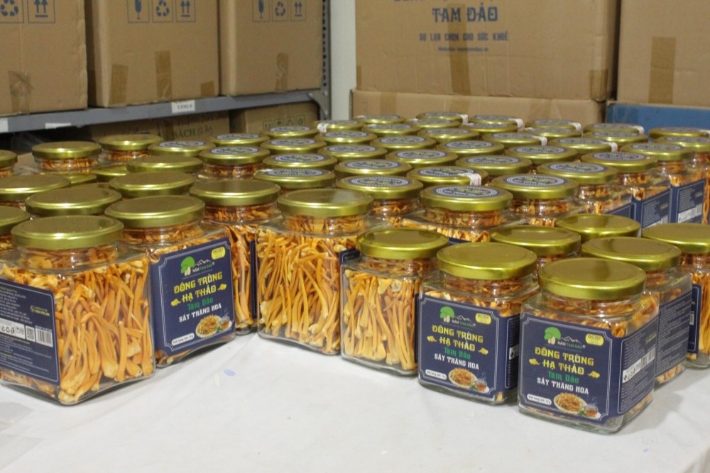 Xây dựng sản phẩm OCOP dựa trên thế mạnh sẵn có tại địa phương Xây dựng sản phẩm OCOP dựa trên thế mạnh sẵn có tại địa phương