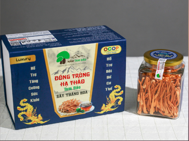 Xây dựng sản phẩm OCOP dựa trên thế mạnh sẵn có tại địa phương Xây dựng sản phẩm OCOP dựa trên thế mạnh sẵn có tại địa phương