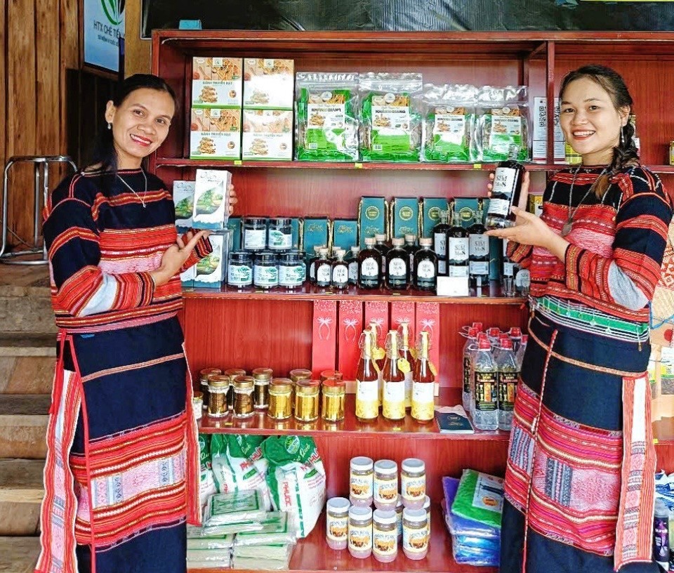 Từ trái sim rừng đến đặc sản đạt chất lượng OCOP Từ trái sim rừng đến đặc sản đạt chất lượng OCOP