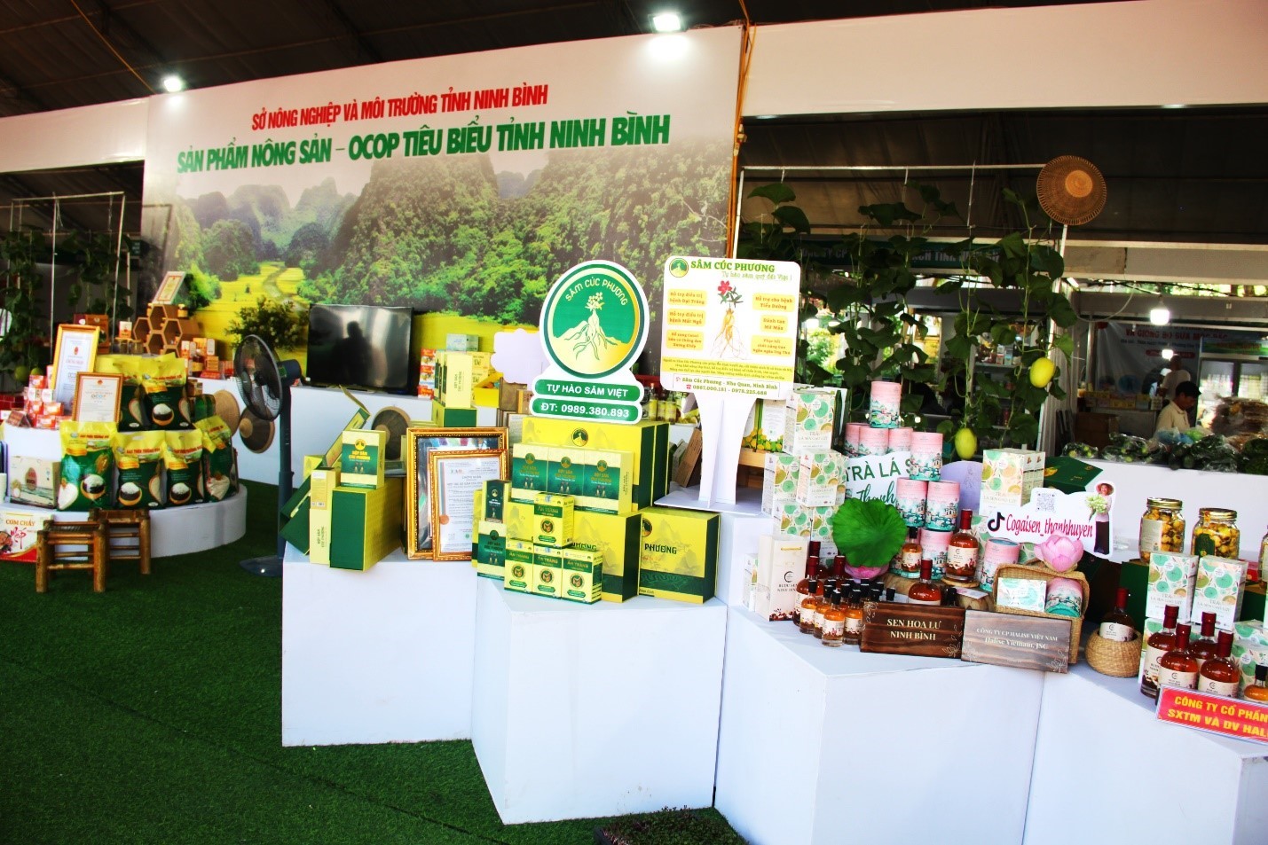 Định hướng phát triển làng nghề và các sản phẩm OCOP tại Ninh Bình Định hướng phát triển làng nghề và các sản phẩm OCOP tại Ninh Bình