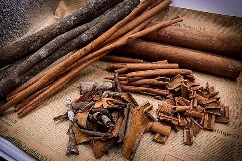 trien vong tu nhung canh rung que huu co o quang tan