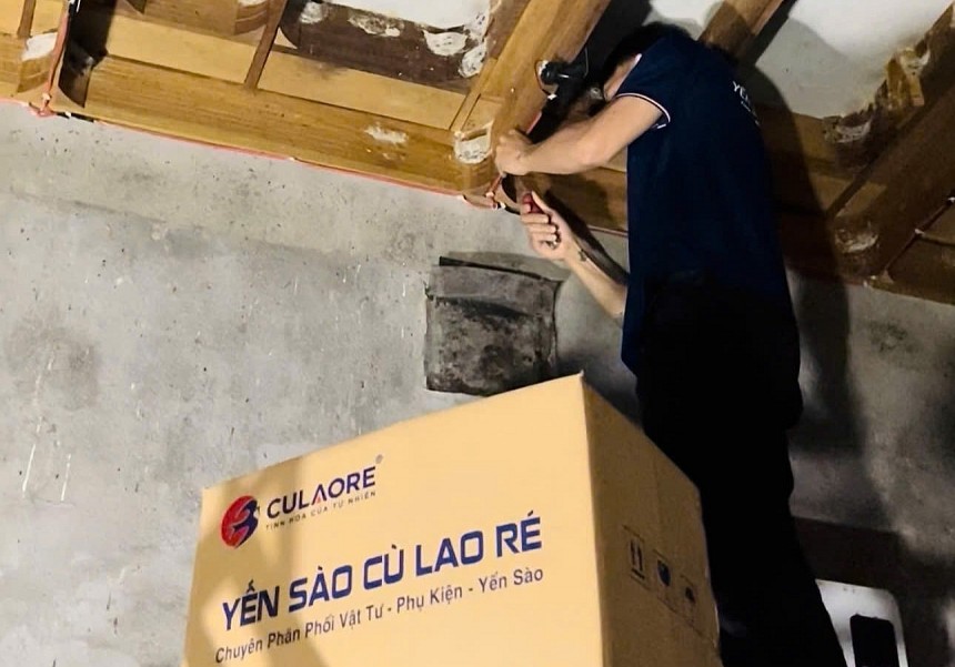 Giàu tiềm năng phát triển, nhưng nghề nuôi chim yến tại tỉnh Quảng Ngãi nói chung và Cù Lao Ré nói riêng cũng đòi hỏi trách nhiệm của người làm nghề nếu muốn phát triển bền vững nguồn tài nguyên thiên nhiên quý giá Giàu tiềm năng phát triển, nhưng nghề nuôi chim yến tại tỉnh Quảng Ngãi nói chung và Cù Lao Ré nói riêng cũng đòi hỏi trách nhiệm của người làm nghề nếu muốn phát triển bền vững nguồn tài nguyên thiên nhiên quý giá