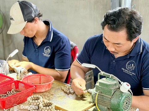 sap dien ra hoi cho trien lam san pham cong nghiep nong thon tieu bieu vung dong nam bo dong nai nam 2025