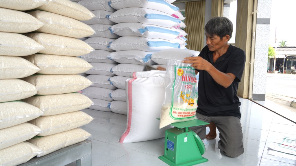 Gạo đặc sản Cần Đước khẳng định thương hiệu với chứng nhận OCOP