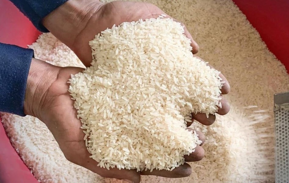 Gạo đặc sản Cần Đước khẳng định thương hiệu với chứng nhận OCOP