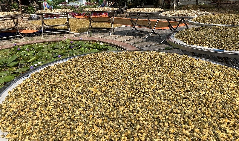 TP. HCM: Từ chối đề nghị xuất khẩu thô, chủ thể OCOP tập trung phục vụ người Việt