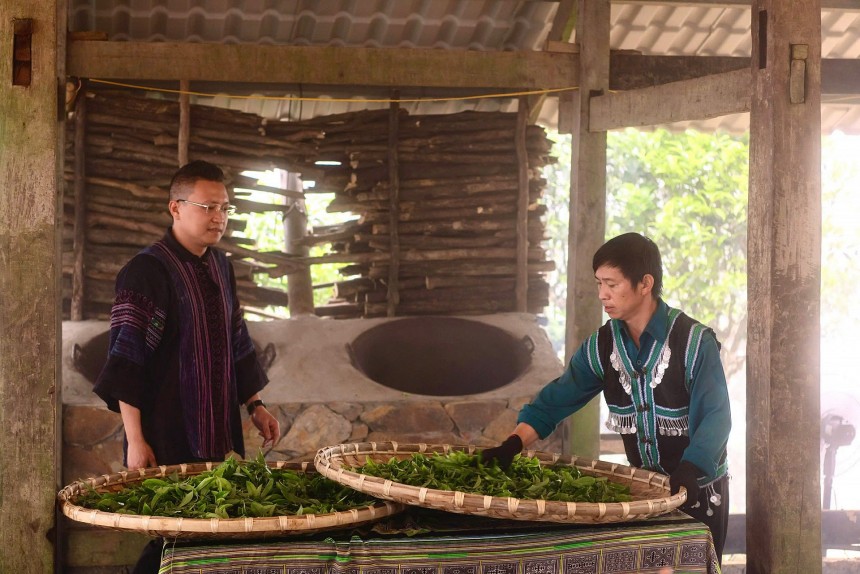 Hộ Kinh Doanh Nguyễn Xuân Năng đã giữ nguyên tính truyền thống khi thu hái chè thủ công vào sáng sớm, chỉ chọn những búp non đạt chuẩn Hộ Kinh Doanh Nguyễn Xuân Năng đã giữ nguyên tính truyền thống khi thu hái chè thủ công vào sáng sớm, chỉ chọn những búp non đạt chuẩn