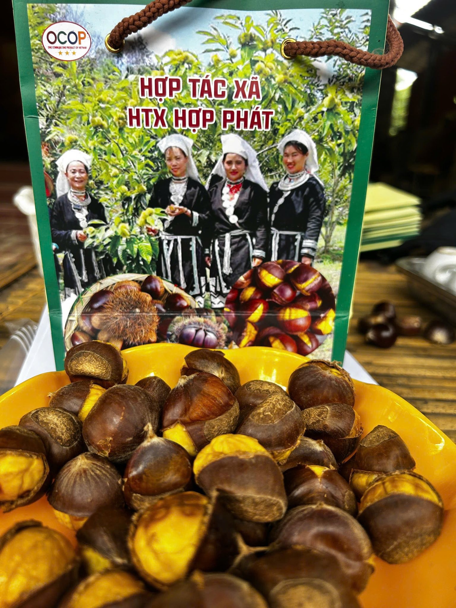 Hạt dẻ Ngân Sơn và hành trình đặc sản vùng cao vươn tầm OCOP Hạt dẻ Ngân Sơn và hành trình đặc sản vùng cao vươn tầm OCOP