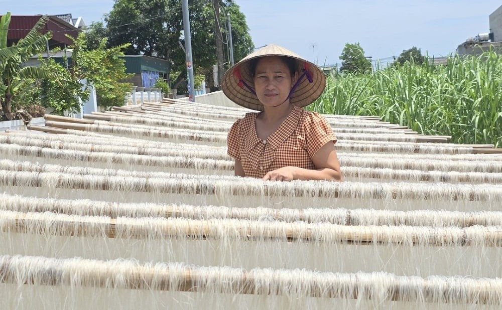 Nghề làm miến gạo đến sản phẩm OCOP 3 sao Nghề làm miến gạo đến sản phẩm OCOP 3 sao