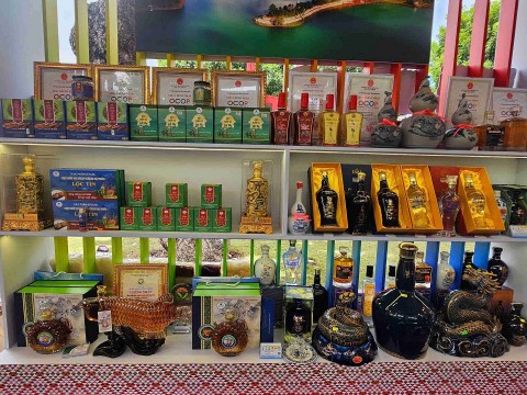 gia lai hinh thanh cac mo hinh phan phoi ban le hien dai gan voi quang ba va tieu thu san pham ocop