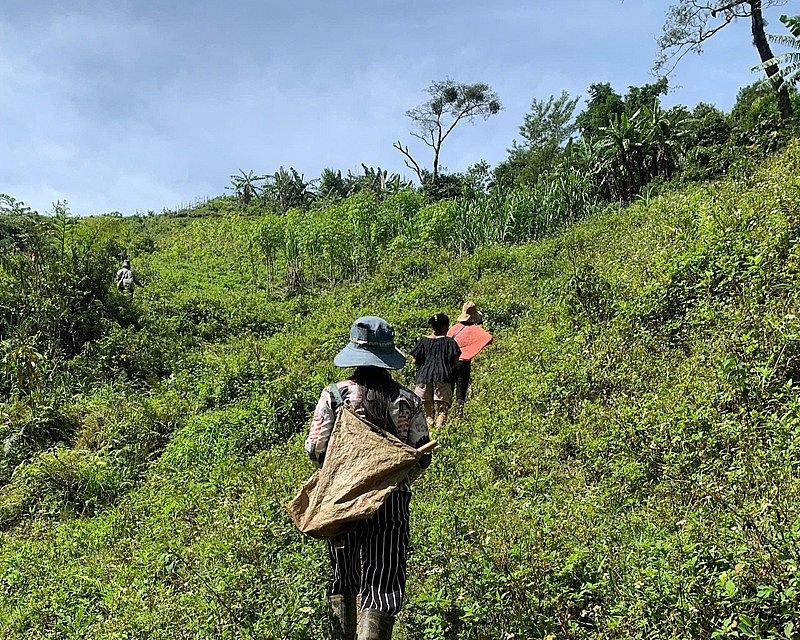 HTX Nông nghiệp sinh thái Phượng Hoàng là mô hình kinh tế tập thể đầu tiên tại xã Xốp, mang trên mình sứ mệnh cải thiện cuộc sống, tạo sinh kế bền vững cho chị em phụ nữ DTTS, đồng thời bảo vệ rừng HTX Nông nghiệp sinh thái Phượng Hoàng là mô hình kinh tế tập thể đầu tiên tại xã Xốp, mang trên mình sứ mệnh cải thiện cuộc sống, tạo sinh kế bền vững cho chị em phụ nữ DTTS, đồng thời bảo vệ rừng