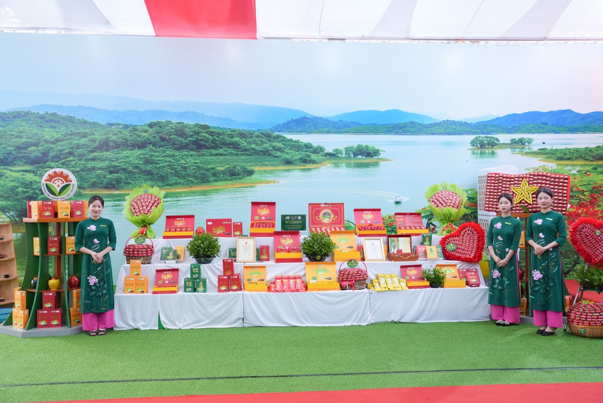 Từ búp trà non Tân Cương đến chuẩn OCOP 5 sao cấp quốc gia Từ búp trà non Tân Cương đến chuẩn OCOP 5 sao cấp quốc gia