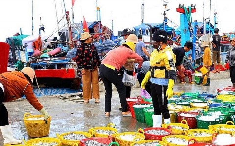 nuoc mam ca na tinh hoa vung bien khanh hoa