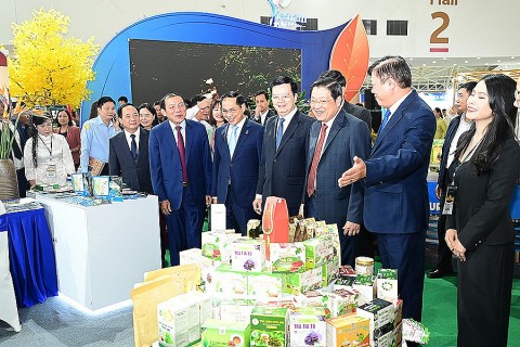 hoi cho mua thu 2025 khoi day tinh than sang tao lan toa niem tu hao viet nam