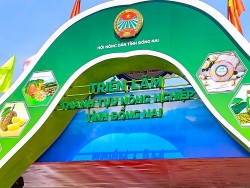 Triển lãm Thành tựu nông nghiệp tỉnh Đồng Nai năm 2025: Nơi quy tụ sản phẩm OCOP