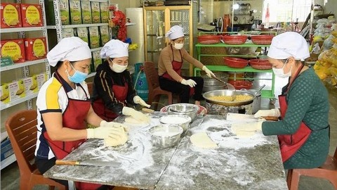 dua huong vi nui rung xu thanh ra thi truong